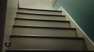 stairs gif